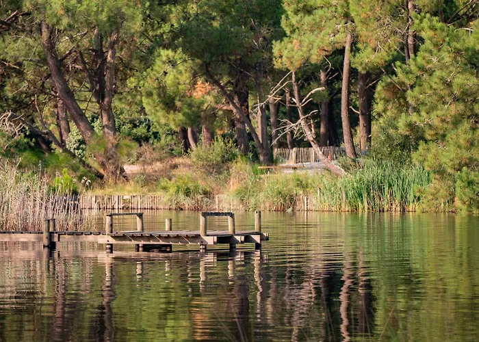 Le Chalet Medocain
